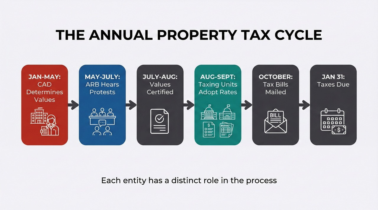 Flow diagram showing annual Texas property tax cycle from CAD valuation through ARB hearings to taxing unit rate setting and payment