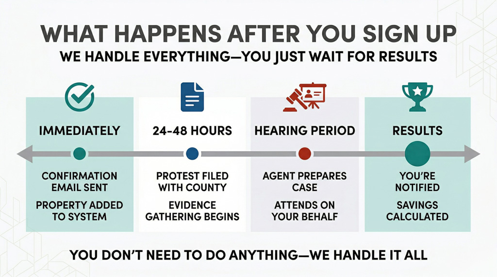 Timeline showing what happens after DomuTax sign-up from filing through results and invoice